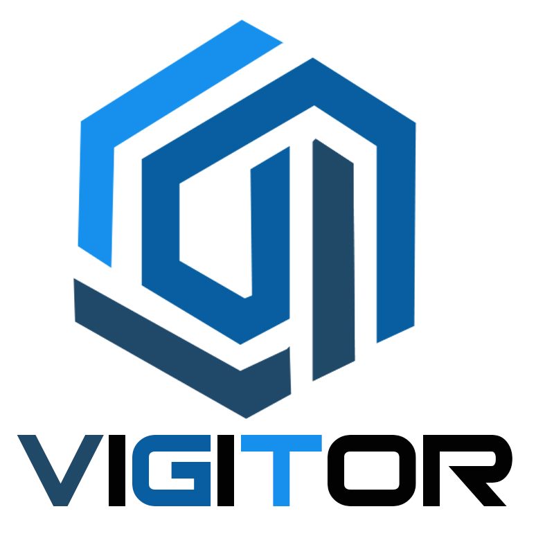 ویجیتور